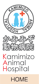 相模原市中央区・緑区｜かみみぞ動物病院｜犬 猫 うさぎ ハムスター